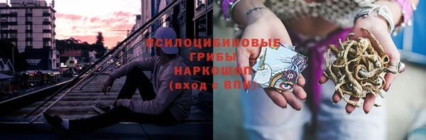 PSILOCYBIN Дмитров