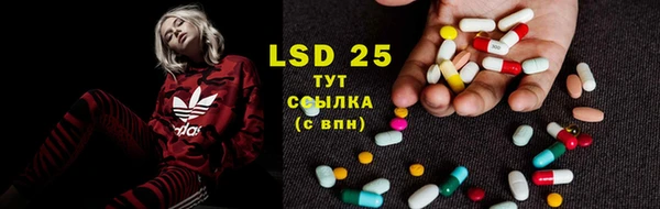 PSILOCYBIN Дмитров