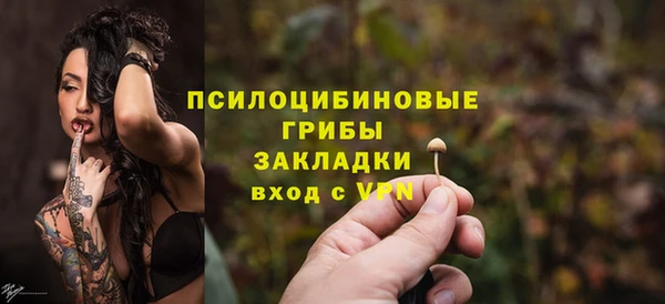 бошки Дмитровск