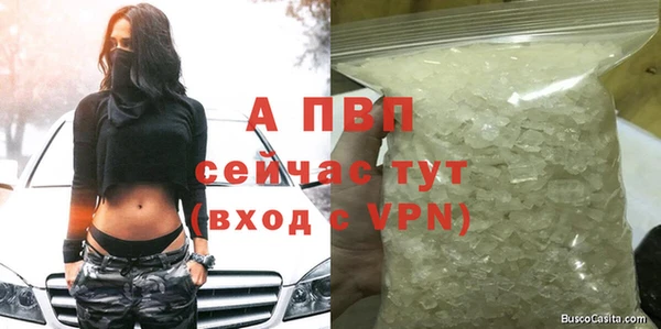 PSILOCYBIN Дмитров