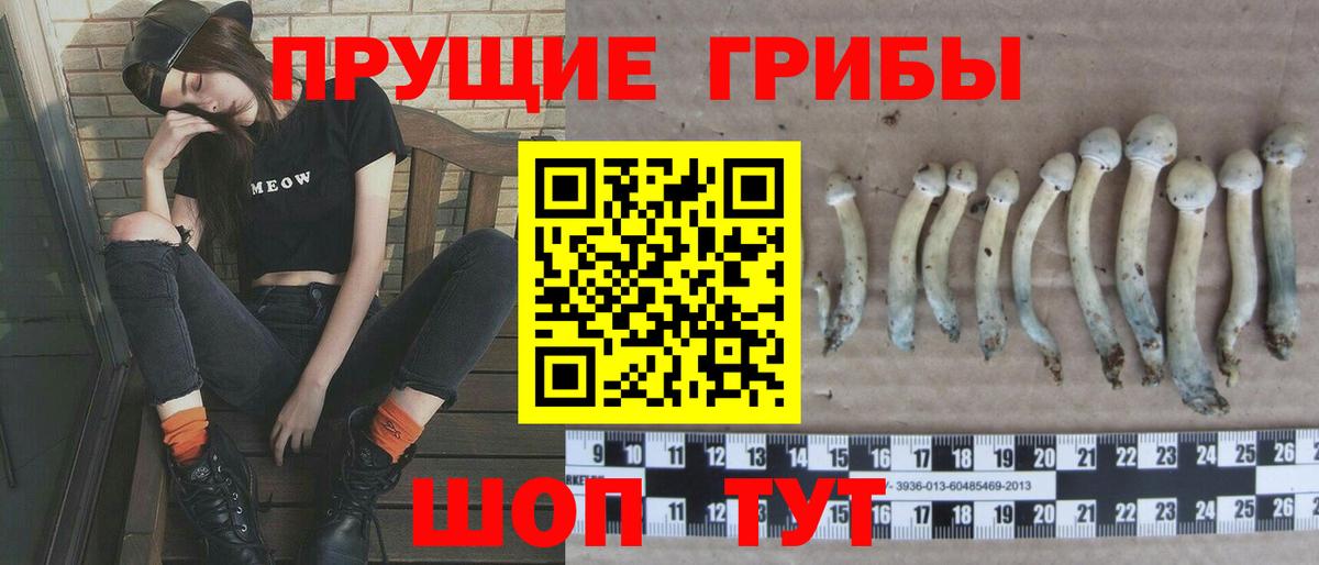Псилоцибиновые грибы Cubensis  Галлюциногенные грибы Psilocybine cubensis  Кизляр  Вход с VPN 