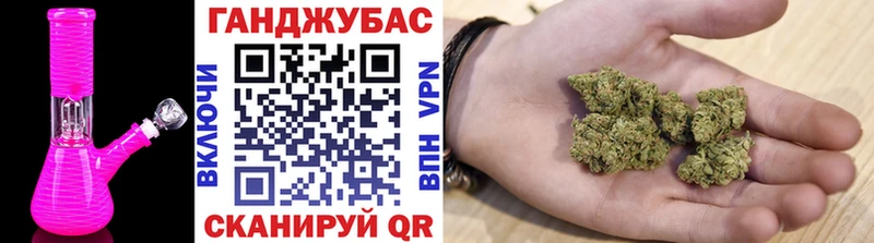 Канабис гибрид  Кизляр 
